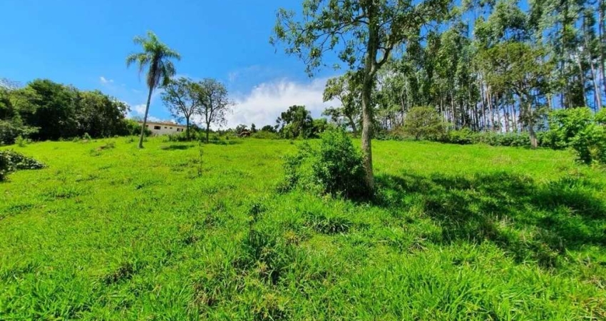 Fazenda / Sítio para venda em Vila Rica de 3600.00m² com 4 Quartos, 4 Suites e 5 Garagens