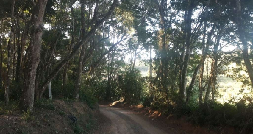 Terreno para venda em Piedade de 1000.00m²