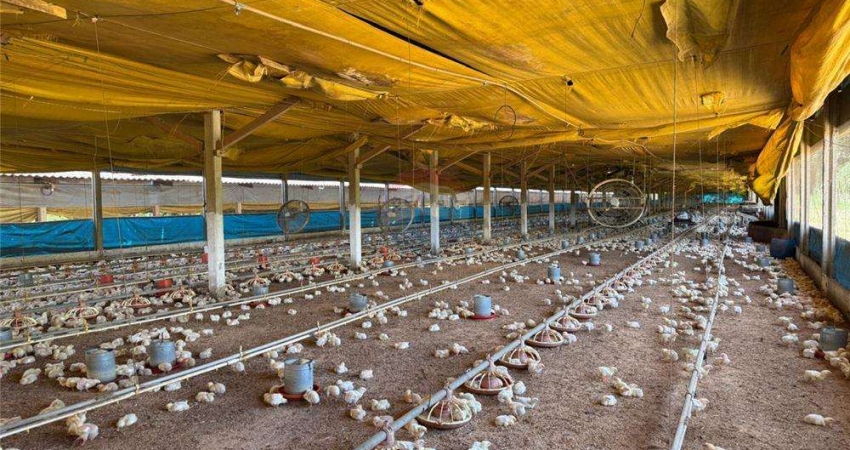 Chácara para venda em Machadinho de 25000.00m² com 5 Quartos e 20 Garagens