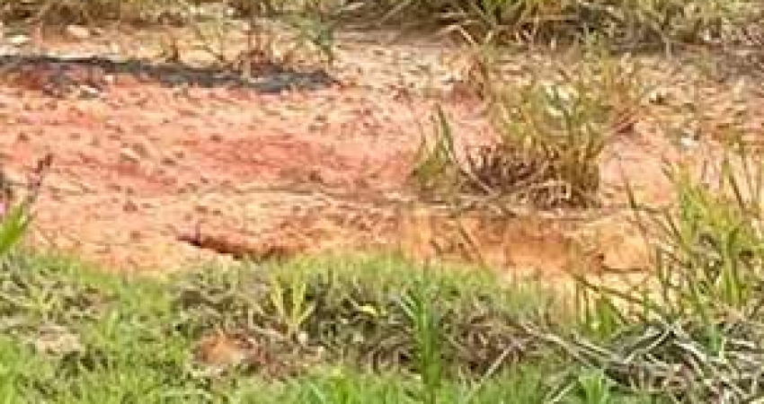 Terreno para venda em Parque Alexandre de 125.00m² com 1 Quarto