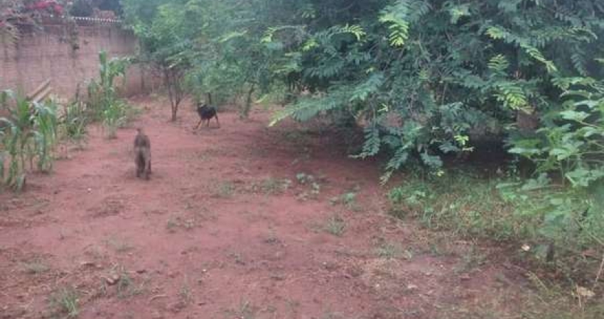 Chácara para venda em Estância Alvorada (zona Rural) de 500.00m² com 1 Quarto