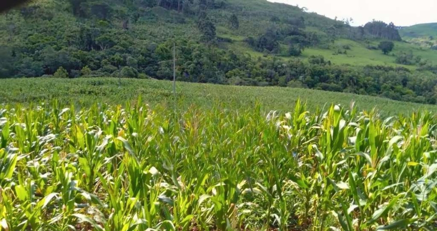 Lote / Terreno para venda em Guaraniaçu de 6050000.00m² com 1 Quarto