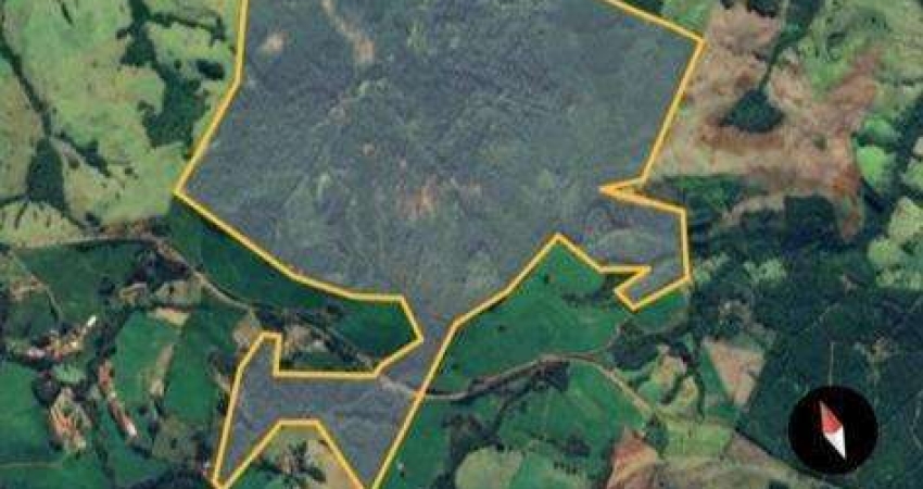 Lote / Terreno para venda em Nova Laranjeiras de 3630000.00m² com 1 Quarto