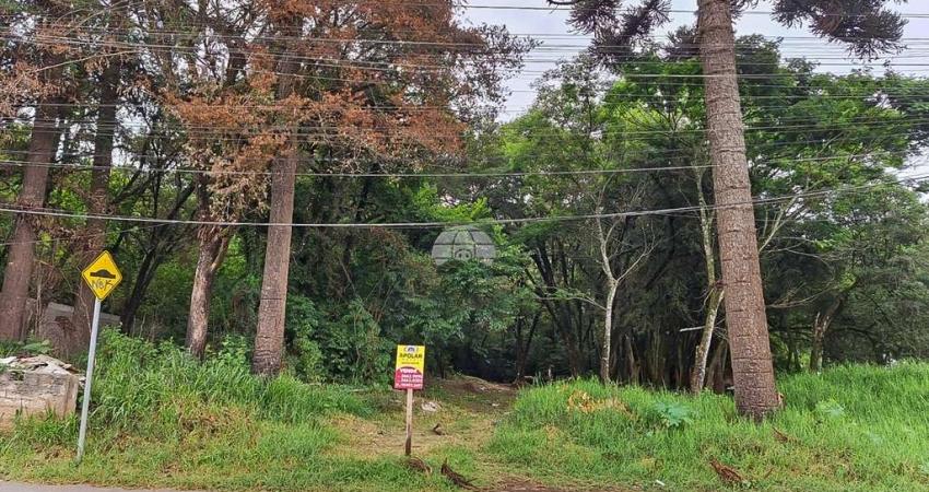 Terreno à venda na Rua Pedro do Rosário, 2226, Guaraituba, Colombo