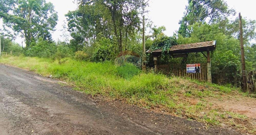 Terreno à venda no Centro, Pardinho 