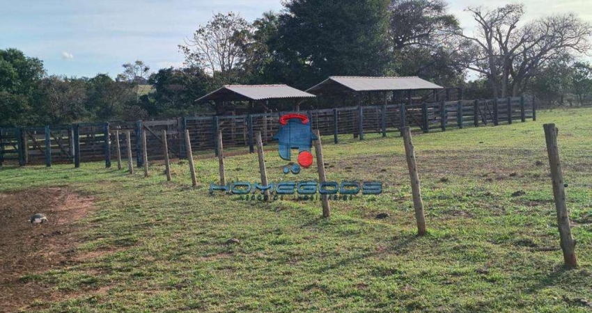 Fazenda / Sítio para venda em Iv Centenário de 1089000.00m² com 1 Quarto