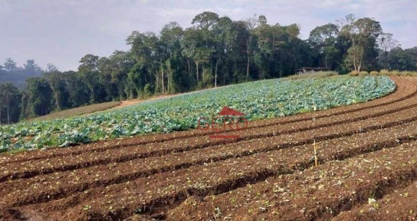 Terreno para venda em Jardim São Marcos de 81335.00m²