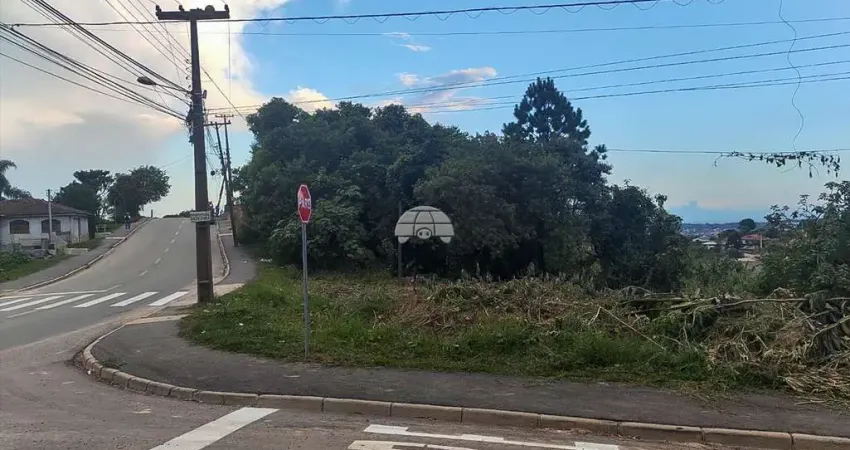 Terreno para venda em Colônia Antônio Prado de 498.00m²