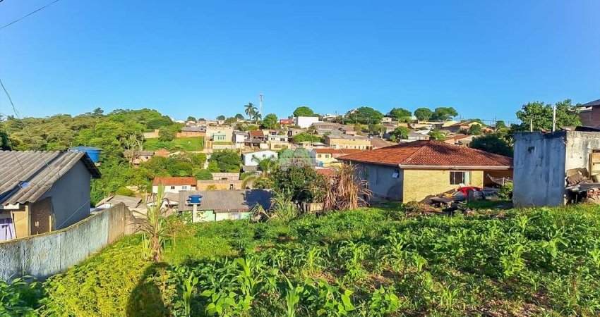 Terreno à venda na Rua das Palmas, 490, São Dimas, Colombo