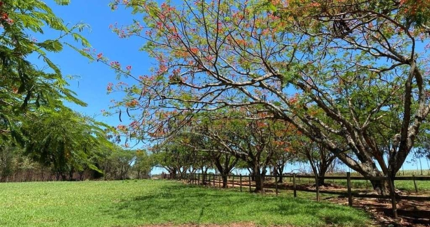 Fazenda / Sítio para venda e aluguel em Boa Esperança do Sul de 700.00m² com 10 Quartos