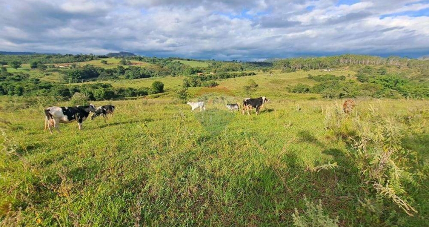 Chácara para venda em Cajuru de 6500000.00m² com 3 Quartos, 3 Suites e 10 Garagens