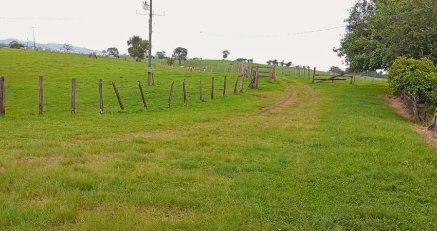 Lote / Terreno para venda em Dois Vizinhos de 1210000.00m² com 1 Quarto