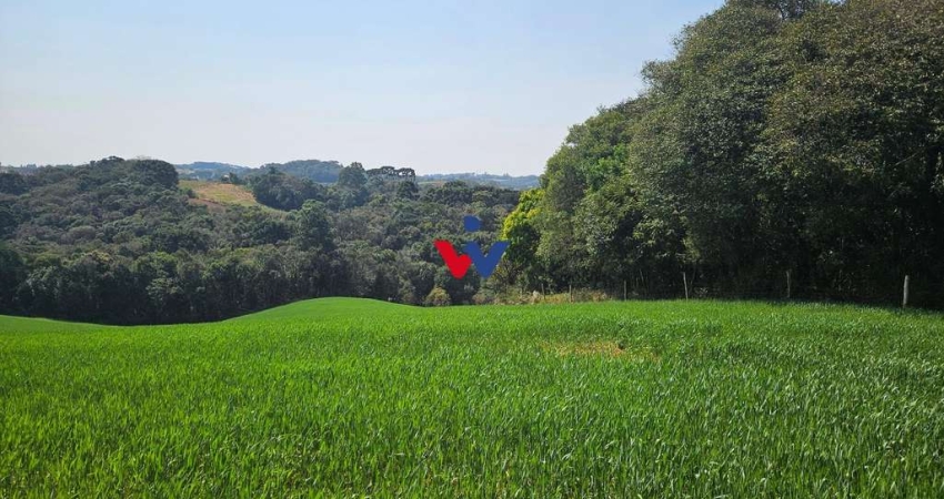 Chácara para venda em Capela Velha de 20000.00m² com 1 Quarto