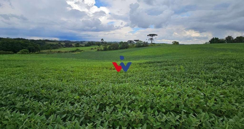 Fazenda / Sítio para venda em Campo Magro de 48400.00m² com 1 Quarto