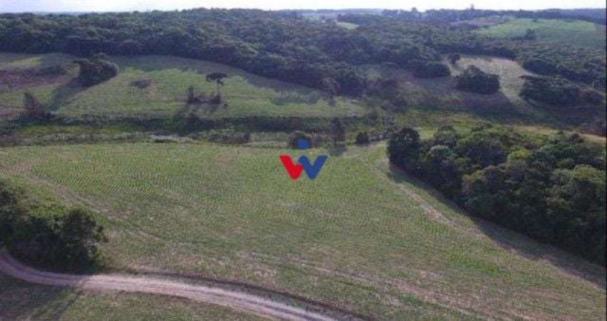Chácara para venda em Lapa de 677600.00m² com 2 Quartos