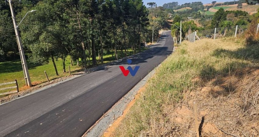 Chácara para venda em Área Rural De Araucária de 10975.00m² com 1 Quarto