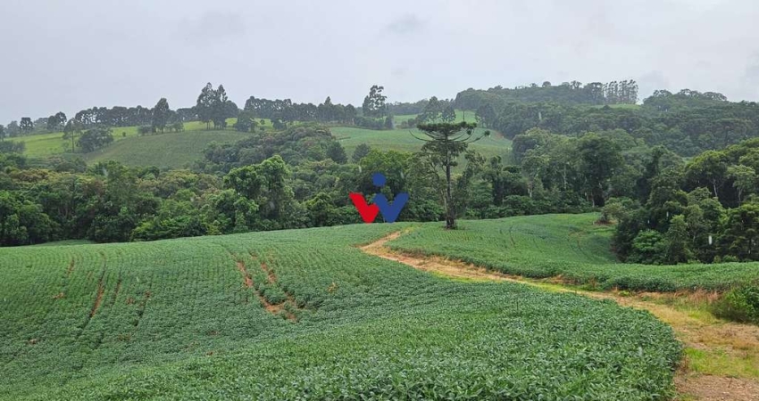 Chácara para venda em Contenda de 79000.00m² com 1 Quarto