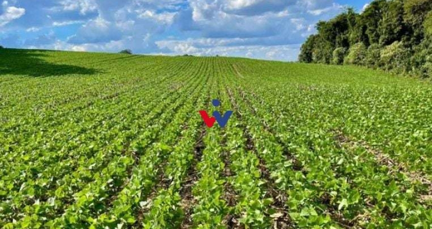 Chácara para venda em Barigui de 23600.00m² com 1 Quarto