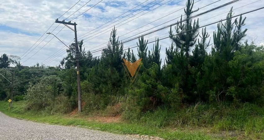 Terreno à venda na Estrada do Lutero, Paisagem Renoir, Cotia