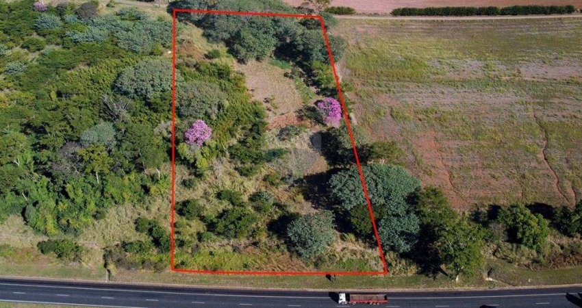 Lote / Terreno para venda em Parque Alto Das Palmeiras de 10000.00m²