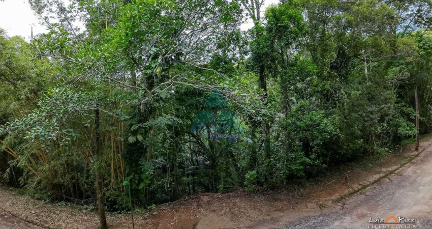 Terreno em condomínio fechado à venda na Praia da Caçandoca, Ubatuba 