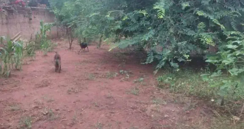 Chácara para venda em Estância Alvorada (zona Rural) de 500.00m² com 1 Quarto