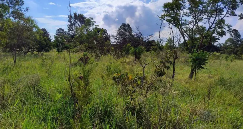 Terreno à venda no Campos Eliseos, Pardinho 