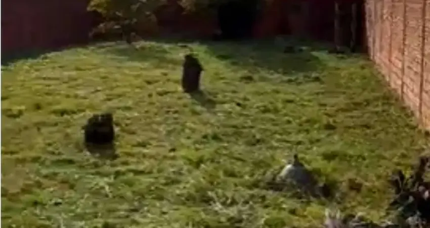 Terreno para venda em Vila Cidade Jardim de 300.00m²