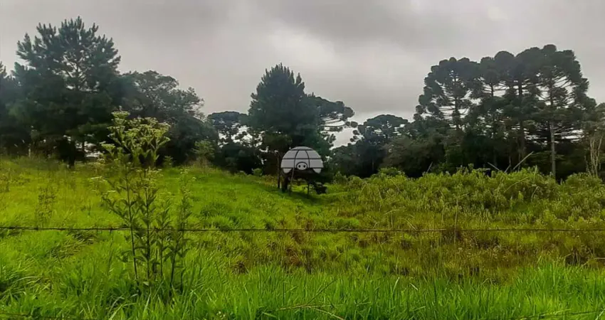 Terreno à venda na Rua Nossa Senhora de Fátima, 1255, Paloma, Colombo