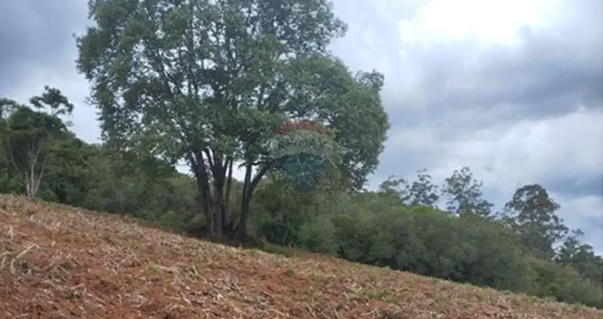 Terreno à venda no Centro, Pedra Bela 