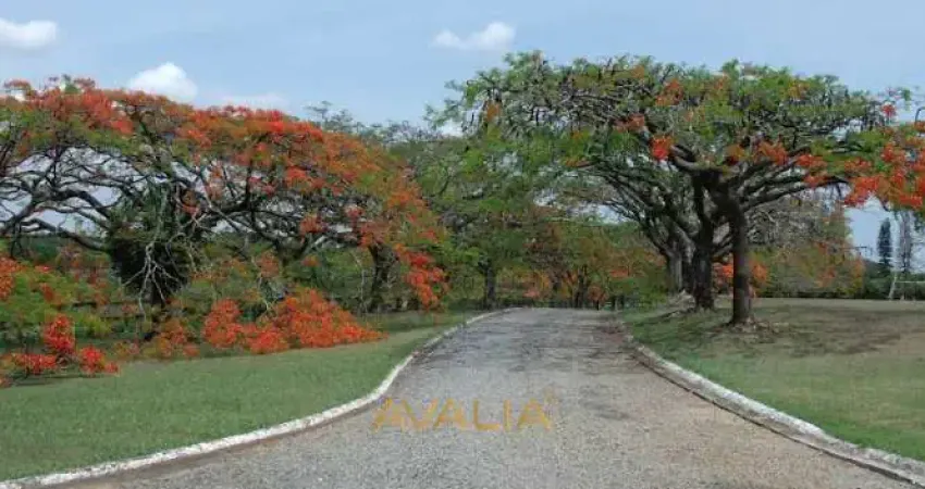 Terreno en Condomínio para venda em Jardim Villa Sapezal de 360.00m²