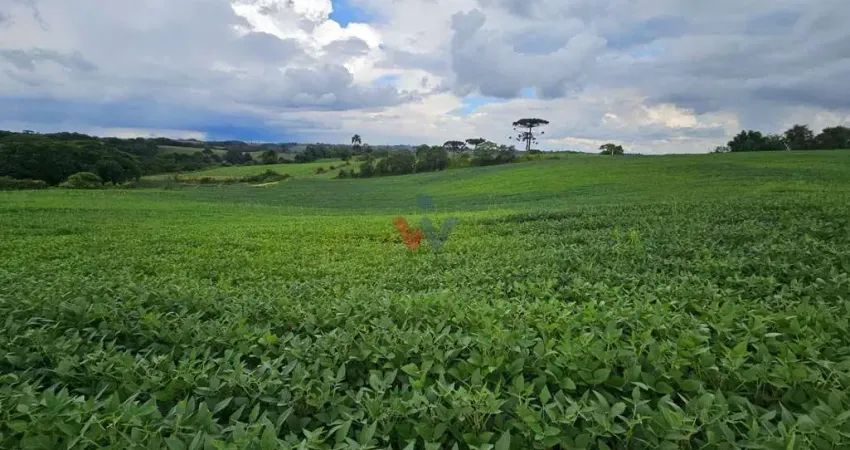 Fazenda / Sítio para venda em Campo Magro de 48400.00m² com 1 Quarto