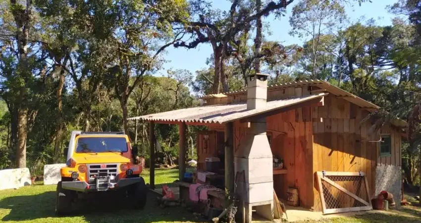 Chácara para venda em Portão de 5460.00m² com 1 Quarto