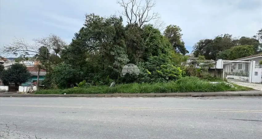 Terreno à venda na Rua do Pau-brasil, 461, Parque do Embu, Colombo