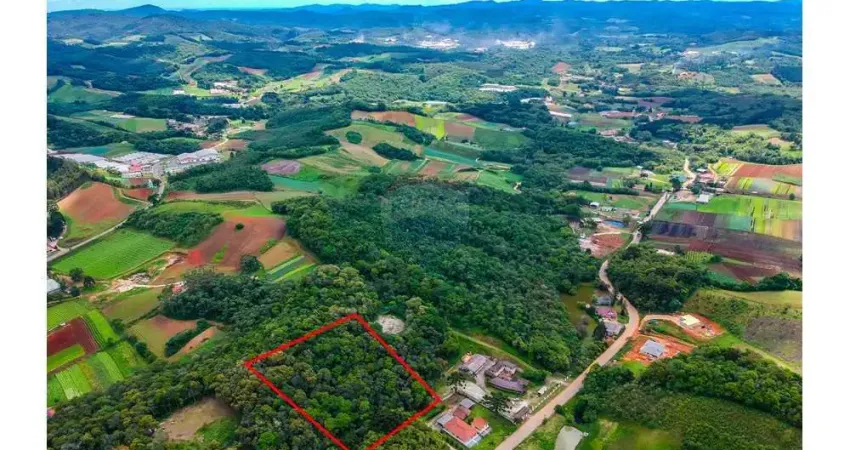 Terreno à venda na Rua Odorico Rissardi, 03, São João, Colombo