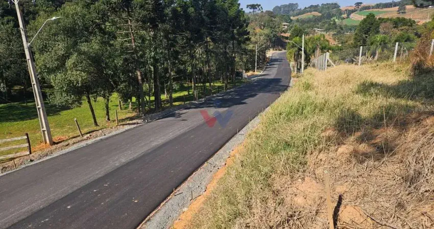 Chácara para venda em área rural de araucária de 10975.00m² com 1 quarto