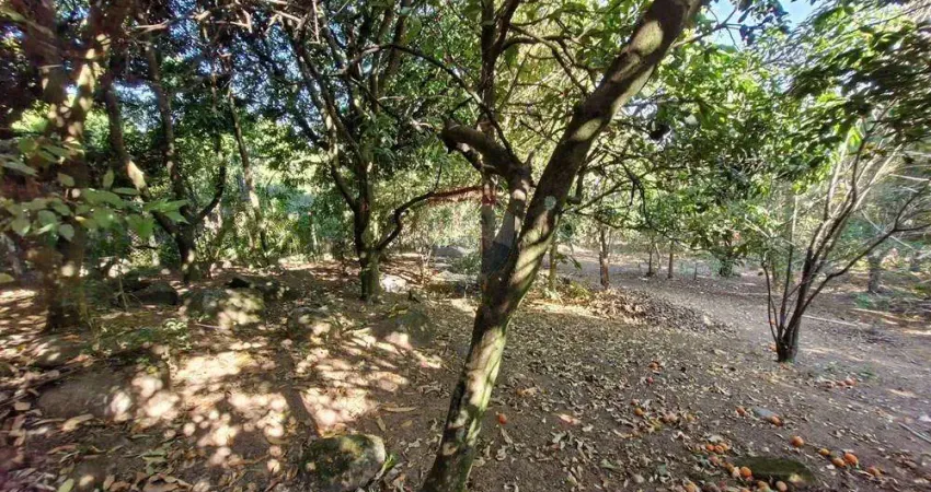 Terreno à venda na Rua Mário Finotelli, 755, Chácara Recreio Floresta, Jaguariúna