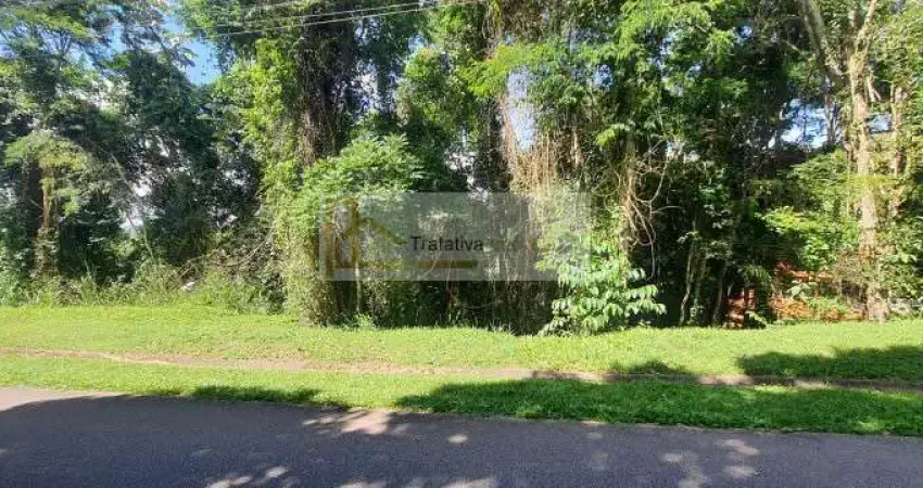 Terreno em condomínio fechado à venda na Alameda das Paineiras, 35, Parque da Fazenda, Itatiba