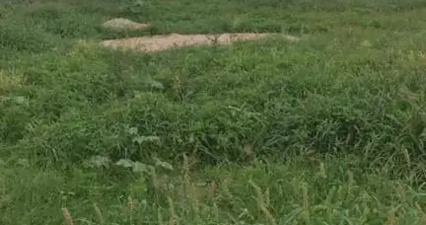 Terreno à venda na Rua João Antero Barbosa, Lado Do 78, Jardim Moreira, Araçatuba