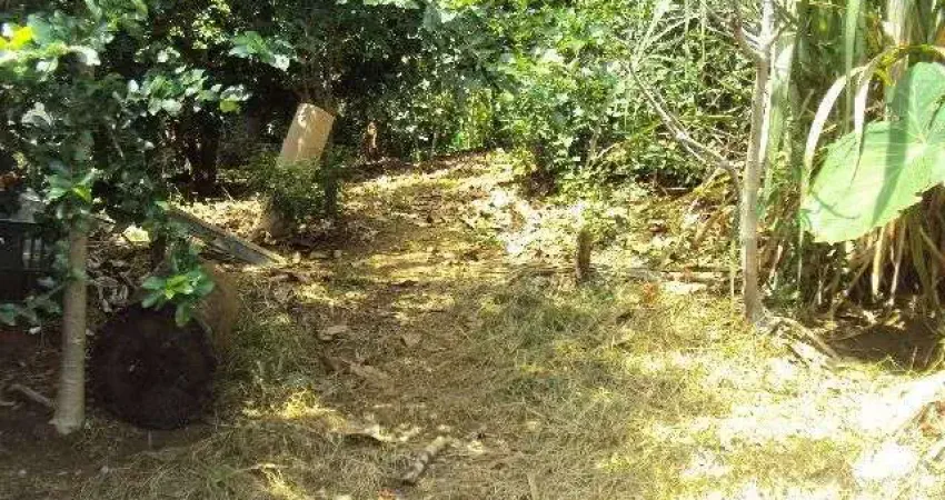 Terreno à venda na Rua Mungo Park, 222, Parque Boturussu, São Paulo