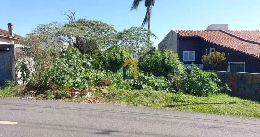 Terreno à venda na Rua Barão de Studart, Vista Alegre, Curitiba