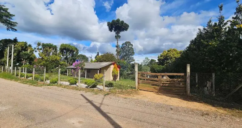 Terreno para venda em área rural de araucária de 60.00m² com 2 quartos