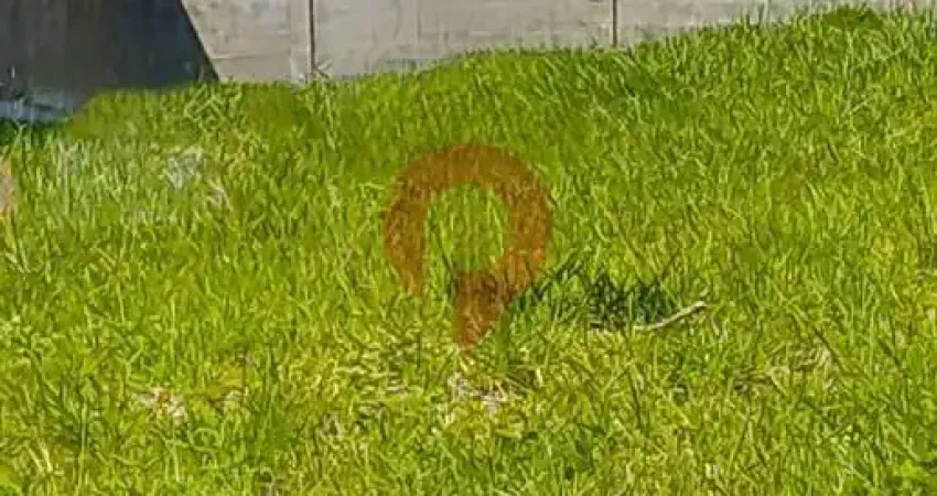 Terreno em condomínio fechado à venda na Rua José Carlos Ferrari, 382, Residencial Santa Maria, Valinhos