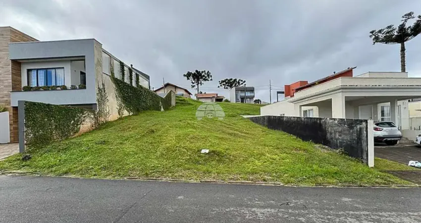 Terreno à venda na Rua do Quivi, 341, Arruda, Colombo