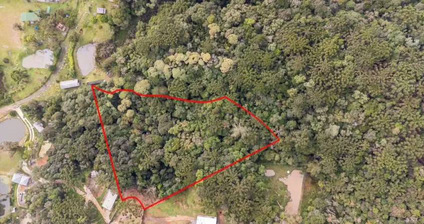 Terreno à venda no Centro, Quatro Barras