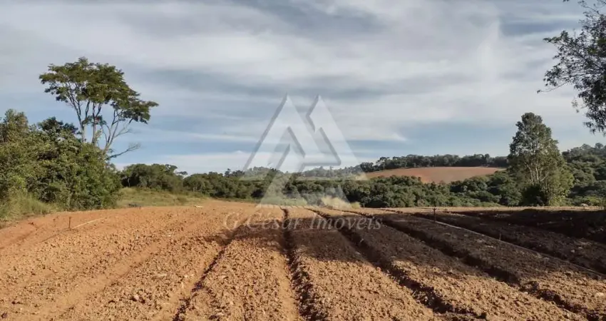 Terreno à venda no Centro, Piedade