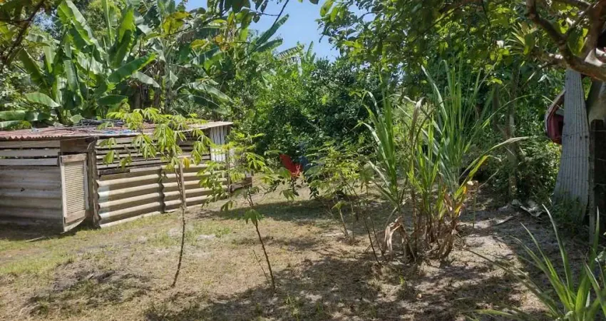Chácara / sítio com 2 quartos à venda em Alexandra, Paranaguá 