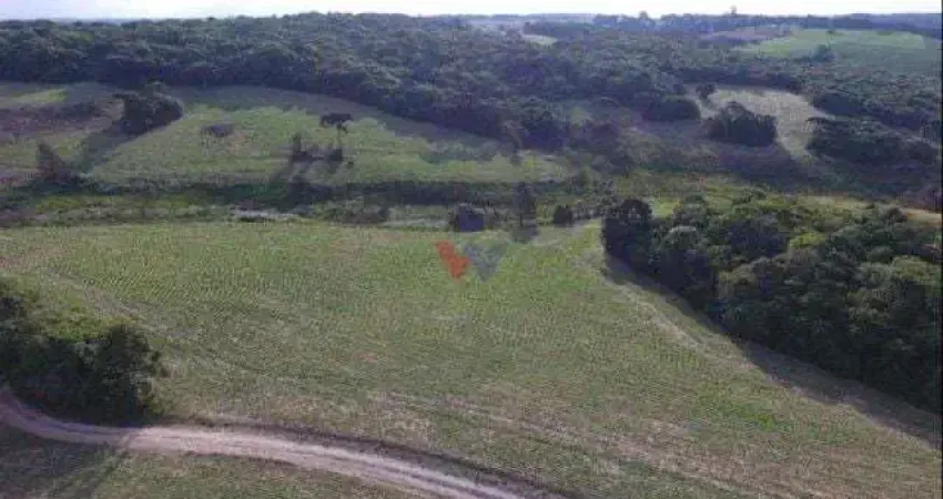 Chácara / sítio com 2 quartos à venda no Centro, Lapa