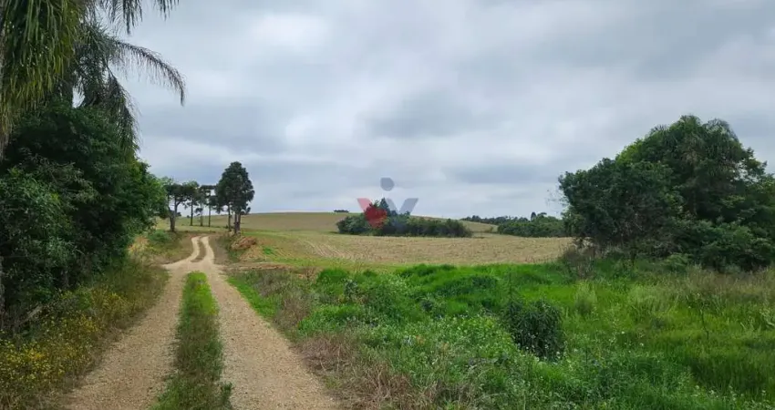 Chácara / sítio com 1 quarto à venda no Centro, Contenda 