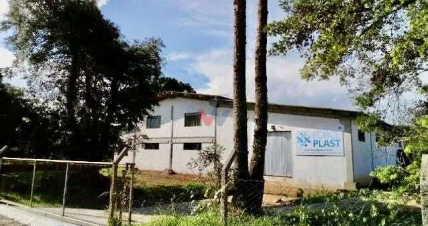 Galpão / depósito / armazém para venda em balsa nova de 905.00m²